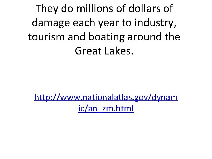 They do millions of dollars of damage each year to industry, tourism and boating