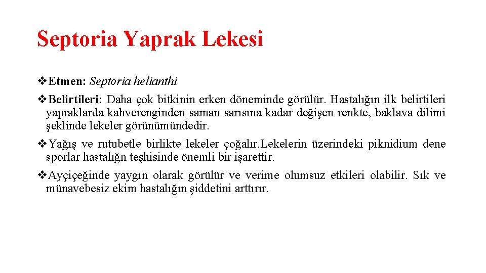 Septoria Yaprak Lekesi v. Etmen: Septoria helianthi v. Belirtileri: Daha çok bitkinin erken döneminde