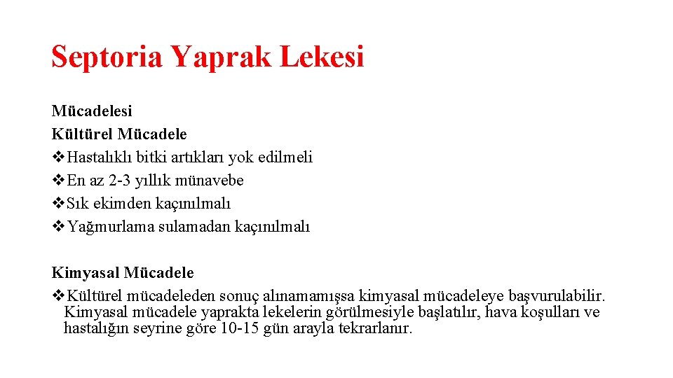 Septoria Yaprak Lekesi Mücadelesi Kültürel Mücadele v. Hastalıklı bitki artıkları yok edilmeli v. En