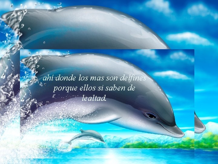 ahí donde los mas son delfines porque ellos si saben de lealtad. 