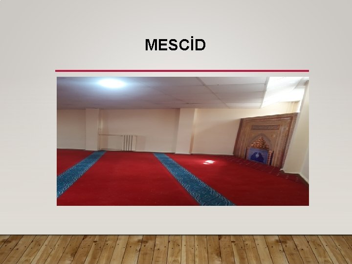 MESCİD 