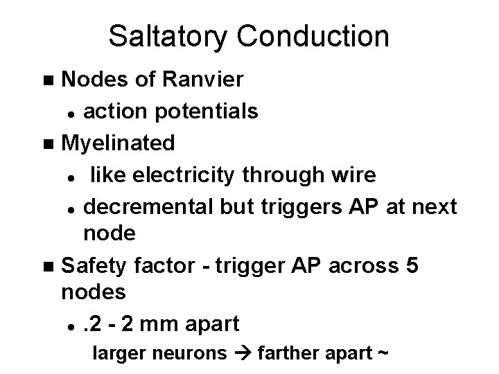 Saltatory Conduction Nodes of Ranvier l action potentials n Myelinated l like electricity through