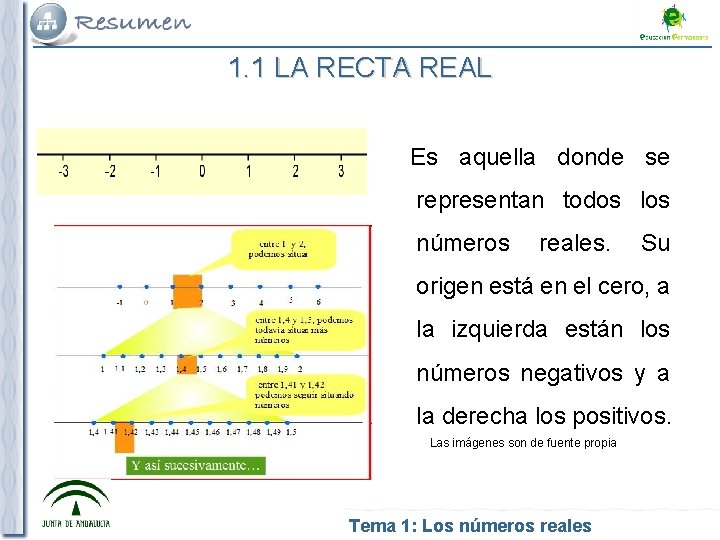 1. 1 LA RECTA REAL Es aquella donde se representan todos los números reales.