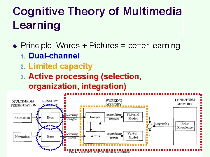 Cognitive Theory of Multimedia Learning l Principle: Words + Pictures = better learning 1.