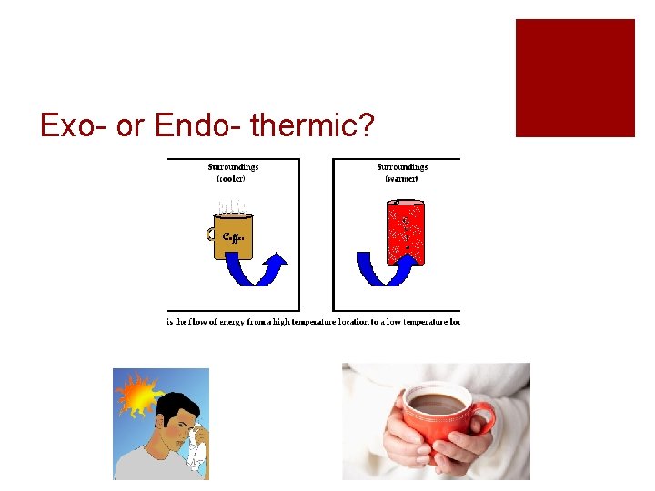 Exo- or Endo- thermic? 