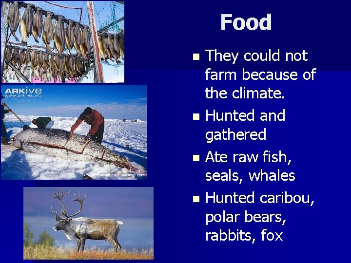 Food They could not farm because of the climate. n Hunted and gathered n Food They could not farm because of the climate. n Hunted and gathered n