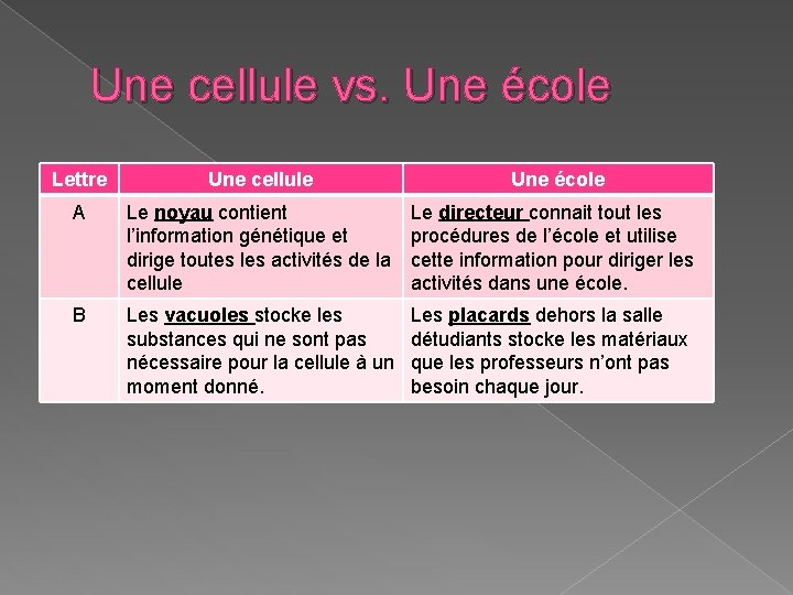 Une cellule vs. Une école Lettre Une cellule Une école A Le noyau contient