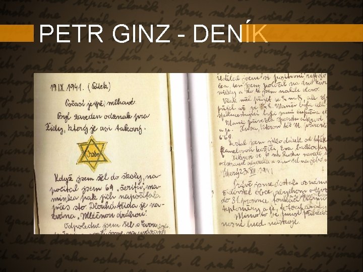 PETR GINZ - DENÍK 