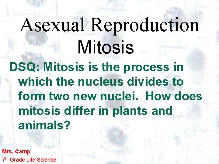 Asexual Reproduction Mitosis DSQ: Mitosis is the process in which the nucleus divides to