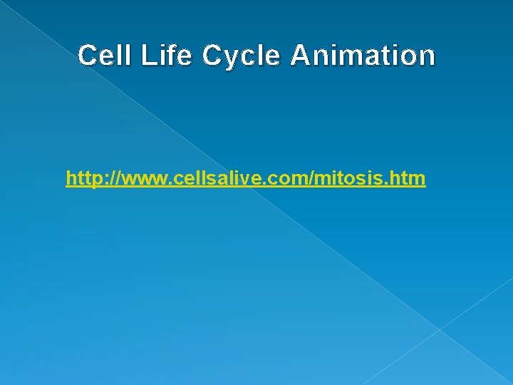 Cell Life Cycle Animation http: //www. cellsalive. com/mitosis. htm 