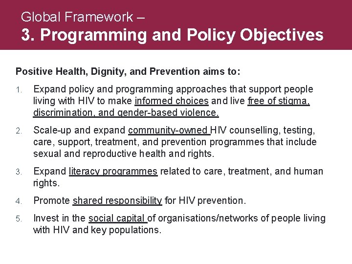 Global Framework – 3. Programming and Policy Objectives Positive Health, Dignity, and Prevention aims