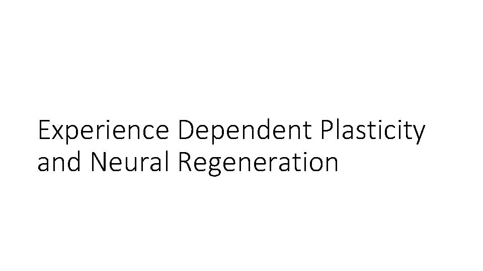 Experience Dependent Plasticity and Neural Regeneration 