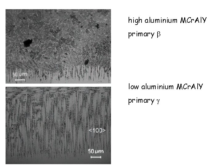 high aluminium MCr. Al. Y primary b low aluminium MCr. Al. Y primary g