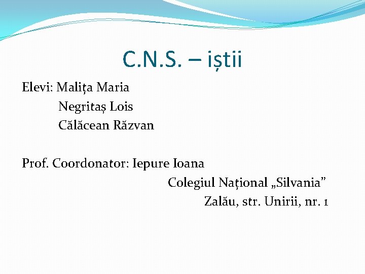 C. N. S. – iștii Elevi: Malița Maria Negritaș Lois Călăcean Răzvan Prof. Coordonator: