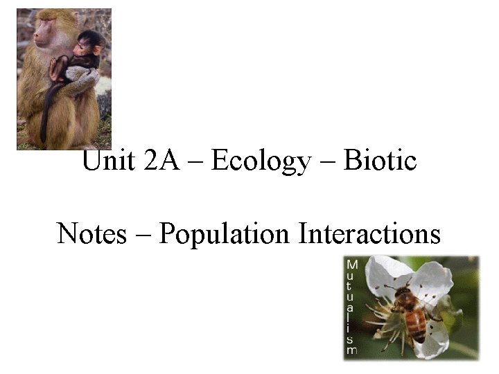 Unit 2 A – Ecology – Biotic Notes – Population Interactions 
