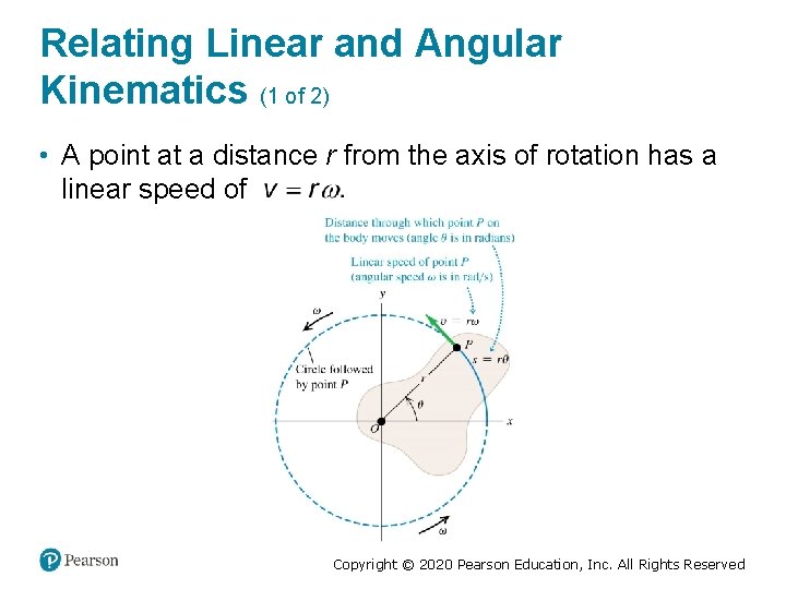 Relating Linear and Angular Kinematics (1 of 2) • A point at a distance