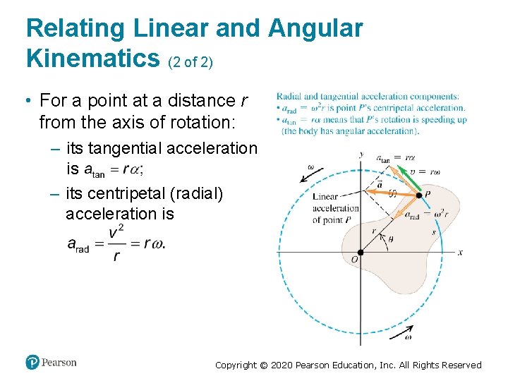 Relating Linear and Angular Kinematics (2 of 2) • For a point at a