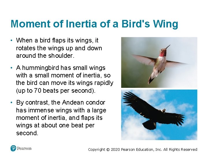 Moment of Inertia of a Bird's Wing • When a bird flaps its wings,