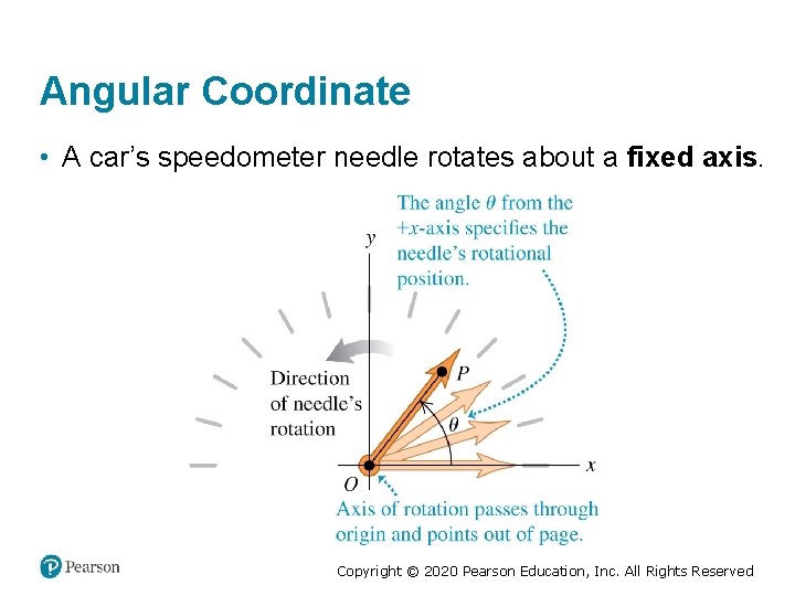Angular Coordinate • A car’s speedometer needle rotates about a fixed axis. Copyright ©