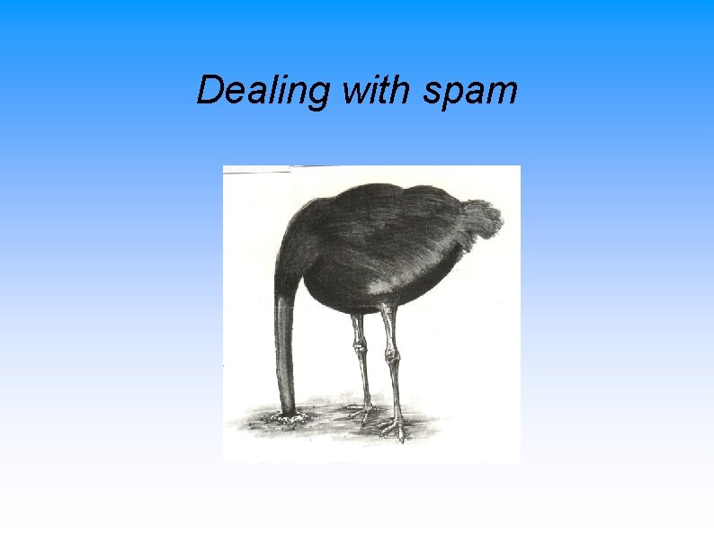 Dealing with spam 