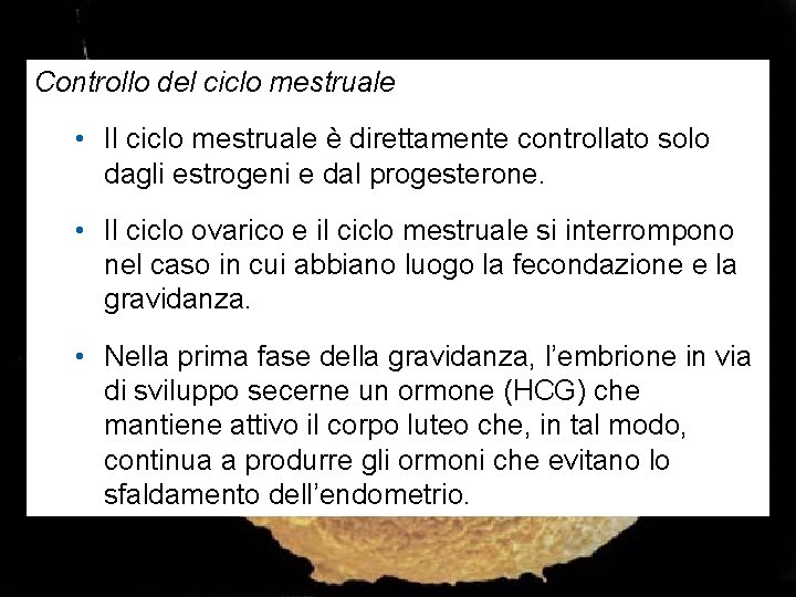 Controllo del ciclo mestruale • Il ciclo mestruale è direttamente controllato solo dagli estrogeni