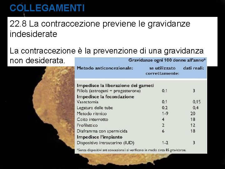 COLLEGAMENTI 22. 8 La contraccezione previene le gravidanze indesiderate La contraccezione è la prevenzione