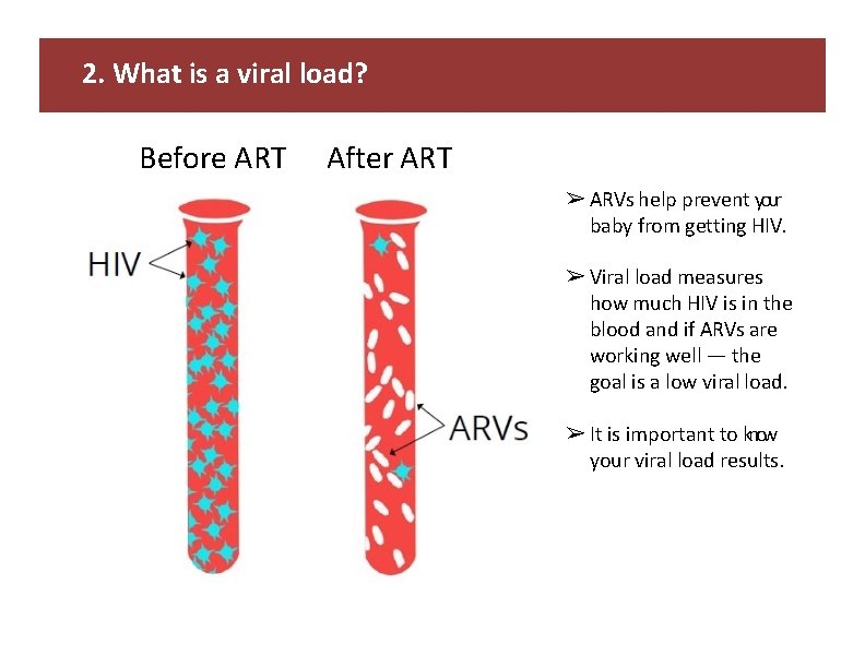 2. What is a viral load? Before ART After ART ➢ ARVs help prevent