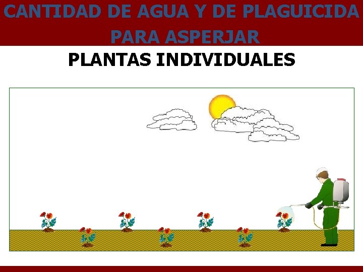 CANTIDAD DE AGUA Y DE PLAGUICIDA PARA ASPERJAR PLANTAS INDIVIDUALES 