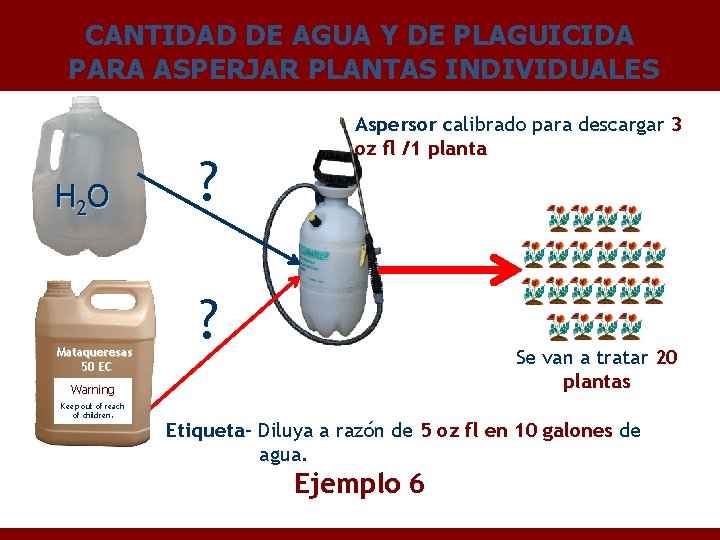 CANTIDAD DE AGUA Y DE PLAGUICIDA PARA ASPERJAR PLANTAS INDIVIDUALES H 2 O Mataqueresas