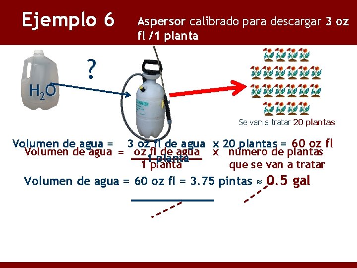 Ejemplo 6 H 2 O Aspersor calibrado para descargar 3 oz fl /1 planta