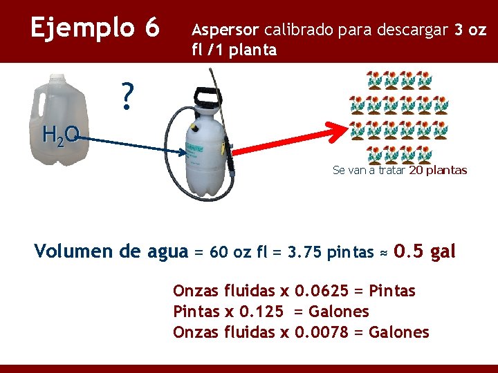 Ejemplo 6 Aspersor calibrado para descargar 3 oz fl /1 planta ? H 2