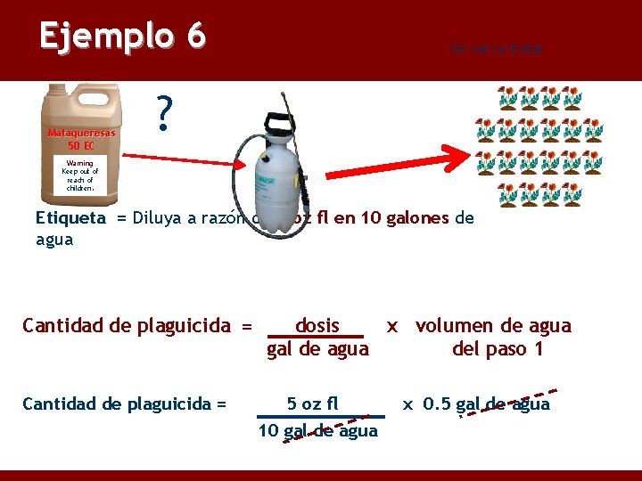 Ejemplo 6 Mataqueresas 50 EC Se van a tratar 20 plantas ? Warning Keep