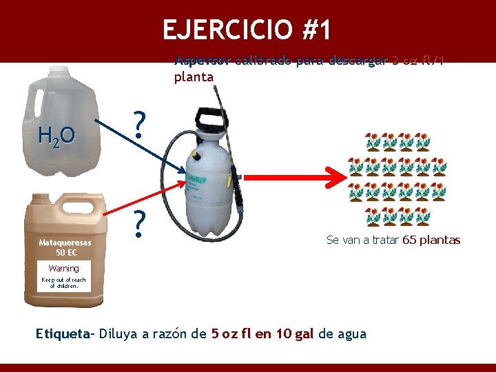 EJERCICIO #1 Aspersor calibrado para descargar 3 oz fl/1 planta H 2 O Mataqueresas