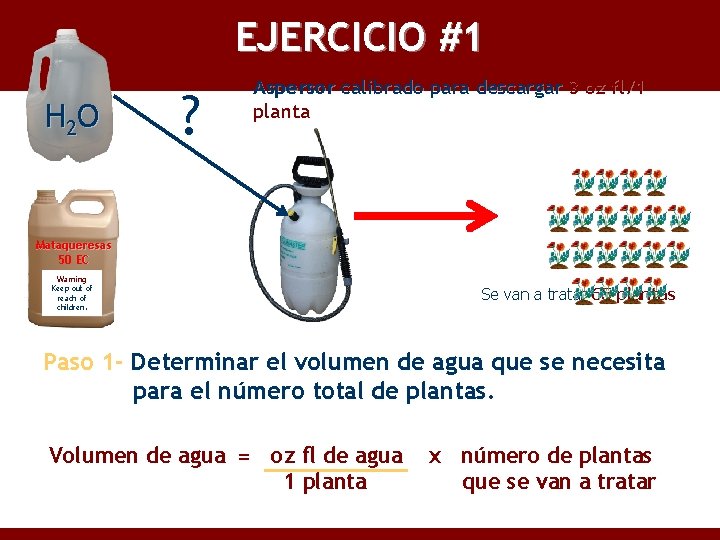 EJERCICIO #1 H 2 O ? Aspersor calibrado para descargar 3 oz fl/1 planta