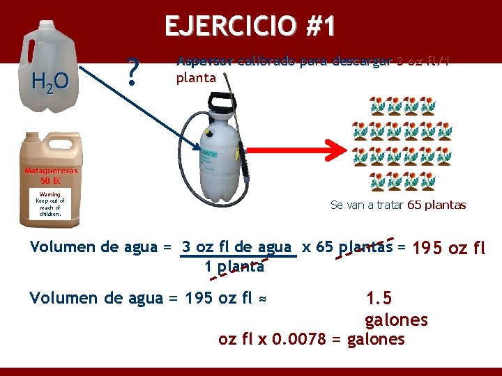 EJERCICIO #1 H 2 O ? Aspersor calibrado para descargar 3 oz fl/1 planta