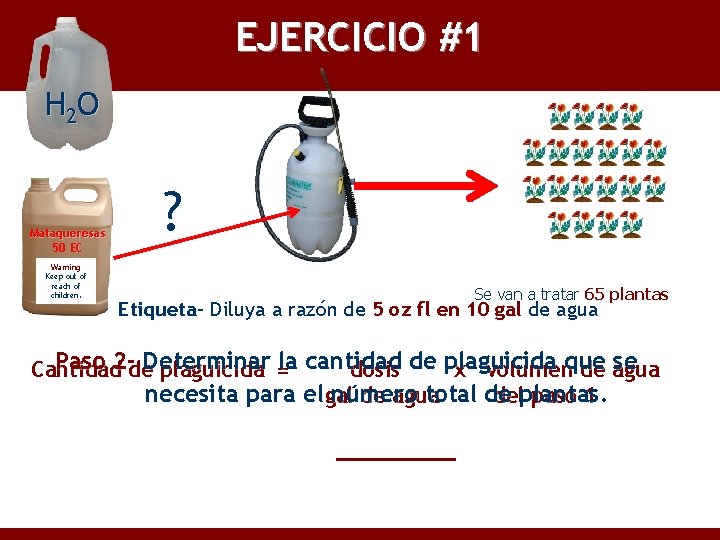 EJERCICIO #1 H 2 O Mataqueresas 50 EC Warning Keep out of reach of