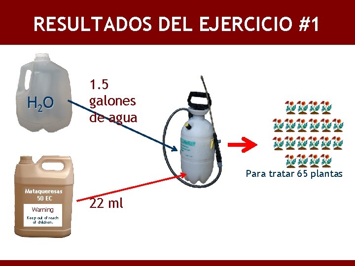 RESULTADOS DEL EJERCICIO #1 H 2 O 1. 5 galones de agua Para tratar