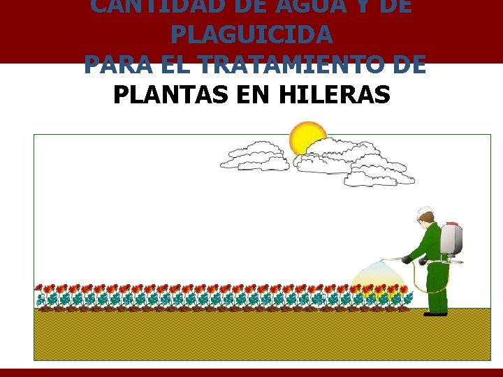 CANTIDAD DE AGUA Y DE PLAGUICIDA PARA EL TRATAMIENTO DE PLANTAS EN HILERAS 