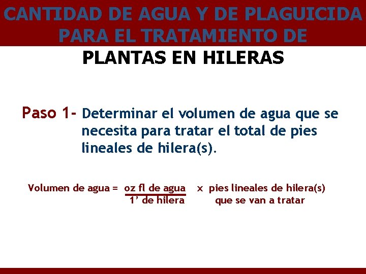 CANTIDAD DE AGUA Y DE PLAGUICIDA PARA EL TRATAMIENTO DE PLANTAS EN HILERAS Paso