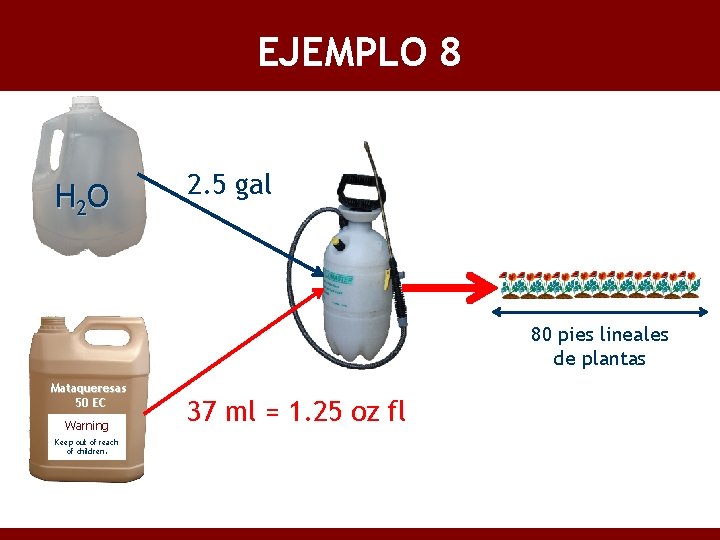 EJEMPLO 8 H 2 O 2. 5 gal 80 pies lineales de plantas Mataqueresas