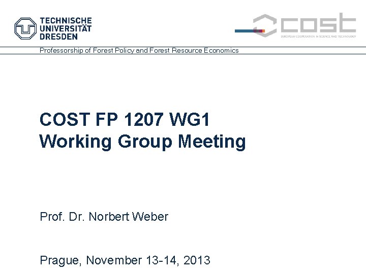 Professorship of Forest Policy and Forest Resource Economics COST FP 1207 WG 1 Working