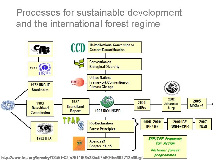 Processes for sustainable development and the international forest regime http: //www. fao. org/forestry/13551 -02