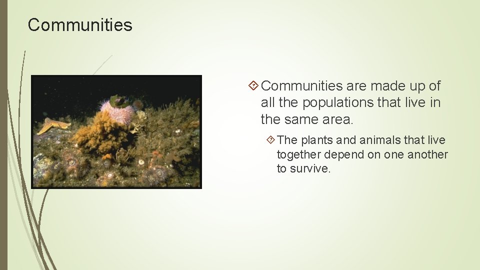 Communities are made up of all the populations that live in the same area.