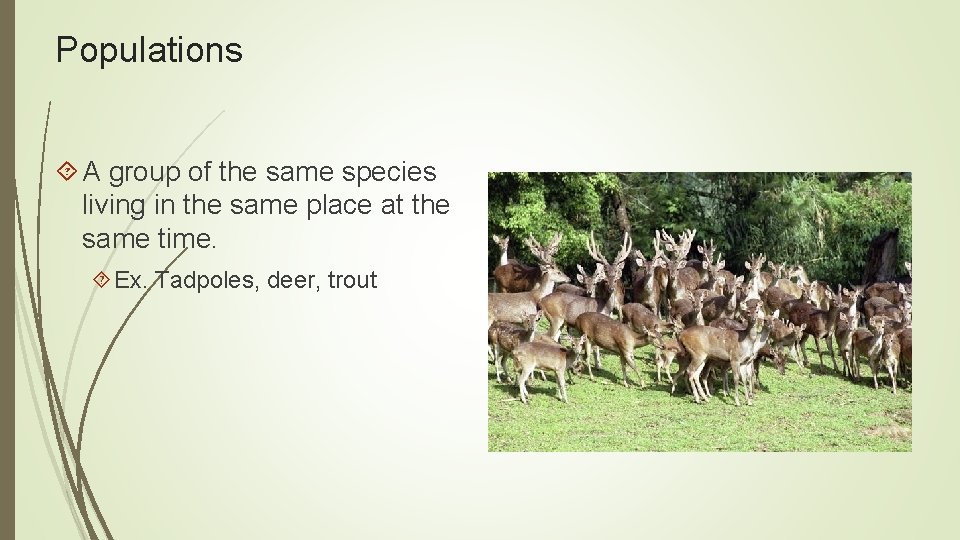 Populations A group of the same species living in the same place at the