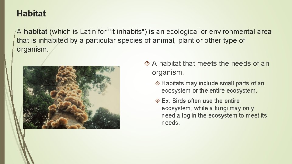 Habitat A habitat (which is Latin for "it inhabits") is an ecological or environmental