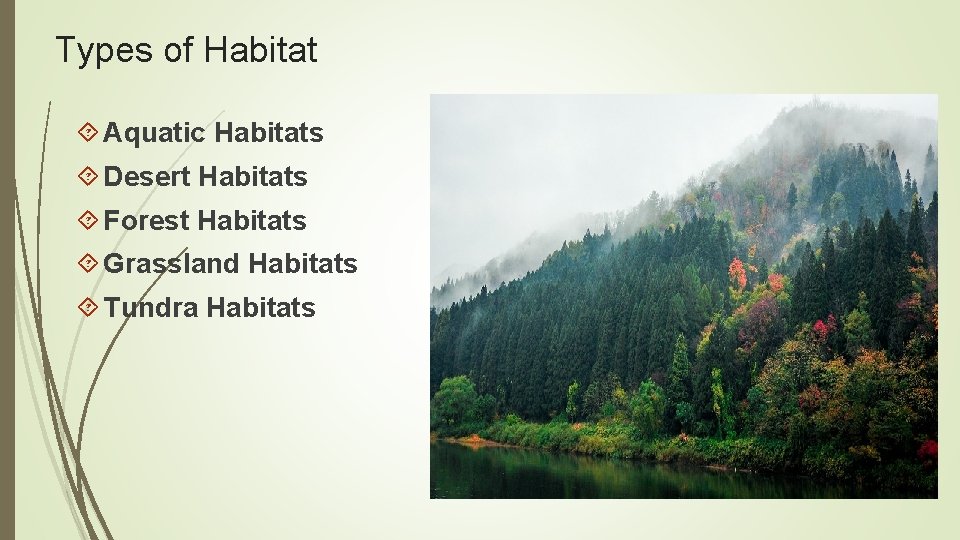 Types of Habitat Aquatic Habitats Desert Habitats Forest Habitats Grassland Habitats Tundra Habitats 