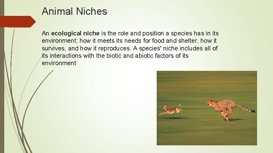 Animal Niches An ecological niche is the role and position a species has in