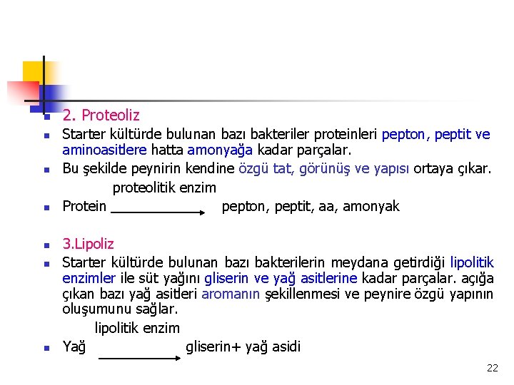 n n n n 2. Proteoliz Starter kültürde bulunan bazı bakteriler proteinleri pepton, peptit
