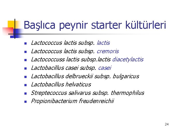 Başlıca peynir starter kültürleri n n n n Lactococcus lactis subsp. lactis Lactococcus lactis