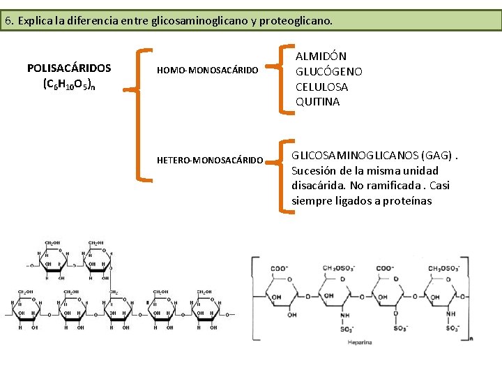 6. Explica la diferencia entre glicosaminoglicano y proteoglicano. POLISACÁRIDOS (C 6 H 10 O 6. Explica la diferencia entre glicosaminoglicano y proteoglicano. POLISACÁRIDOS (C 6 H 10 O